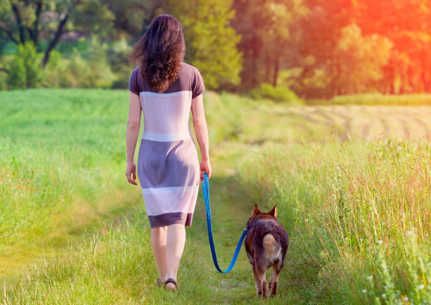 Frau spaziert mit Hund an lockerer Leine